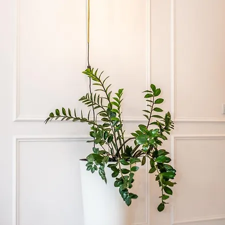 Apartment Super-apartamenty Andersia Vip Ii *