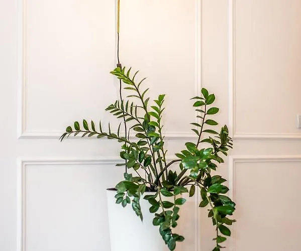 Apartamento Super-apartamenty Andersia Vip Ii *